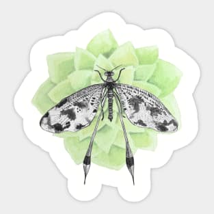 Dragonfly with tender green flower Sticker